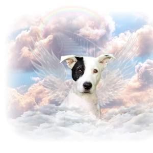 Meet your Posher, Malia